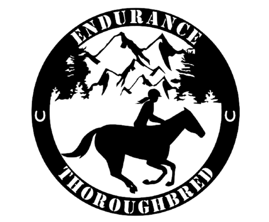 6X6 Thoroughbred Endurance Decal