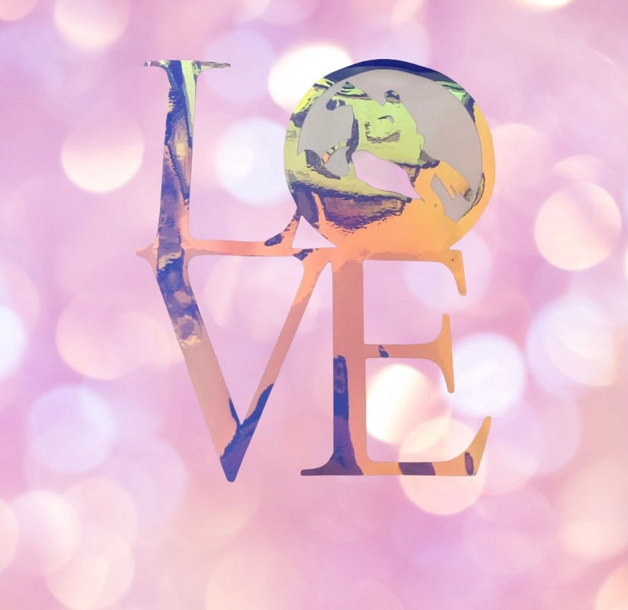 6X7 LOVE Endurance Decal